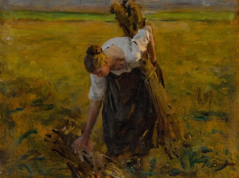 Spigolatrice di garofani